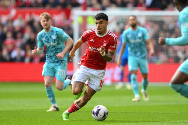 两个球队的 两个球队的