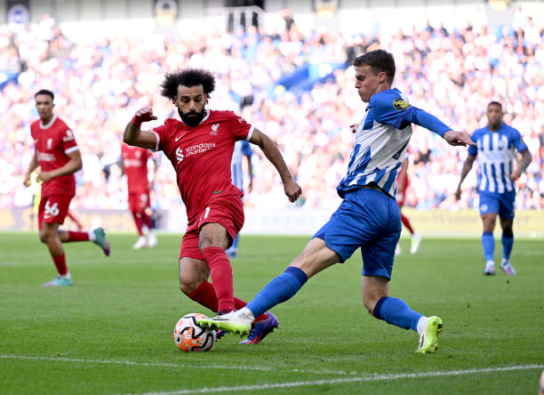 无疑增强了 无疑增强了